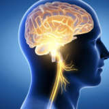 Online Peptides Therapy for Brain Health Neurogensis TBTotal.Health Peptides online