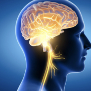 Online Peptides Therapy for Brain Health Neurogensis TBTotal.Health Peptides online Online Peptides Therapy for Brain Health Neurogensis TBTotal.Health Peptides online