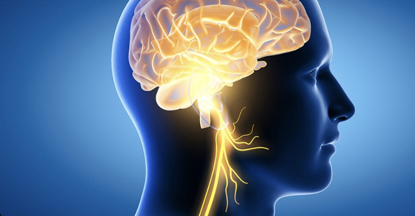 Online Peptides Therapy for Brain Health Neurogensis TBTotal.Health Peptides online