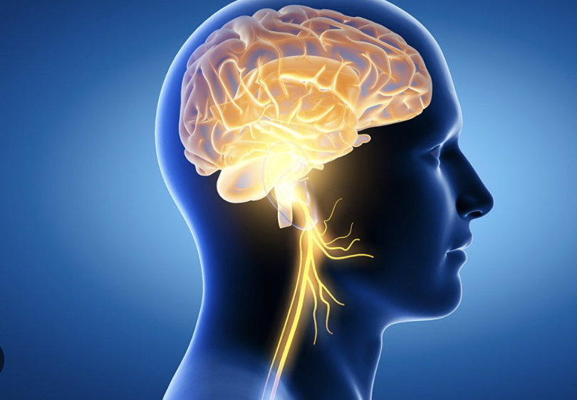 Online Peptides Therapy for Brain Health Neurogensis TBTotal.Health Peptides online