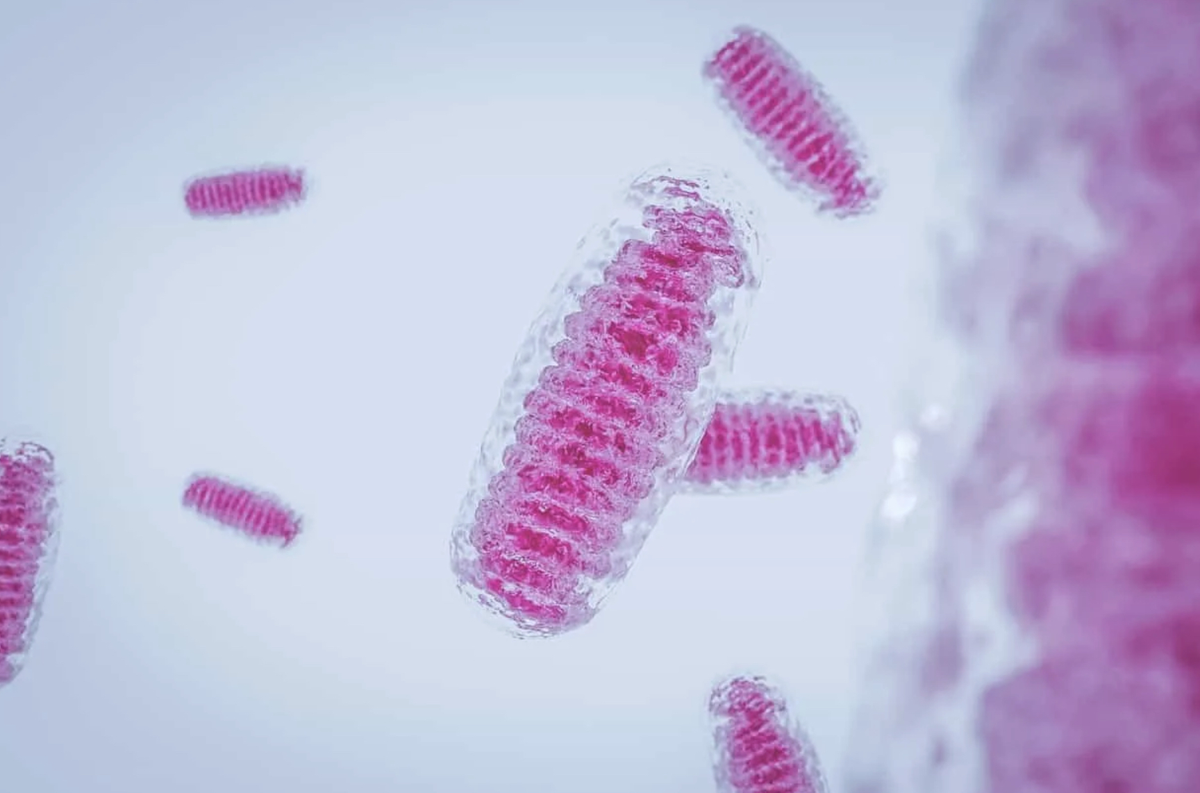 SS-31 Explained | FDA-Approved Mitochondrial Therapy Online