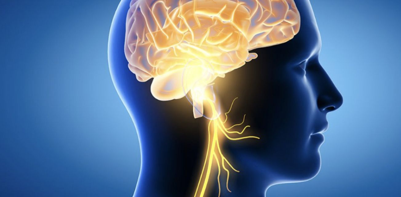 Online Peptides Therapy for Brain Health Neurogensis TBTotal.Health Peptides online