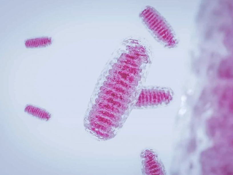 SS-31 Explained | FDA-Approved Mitochondrial Therapy Online