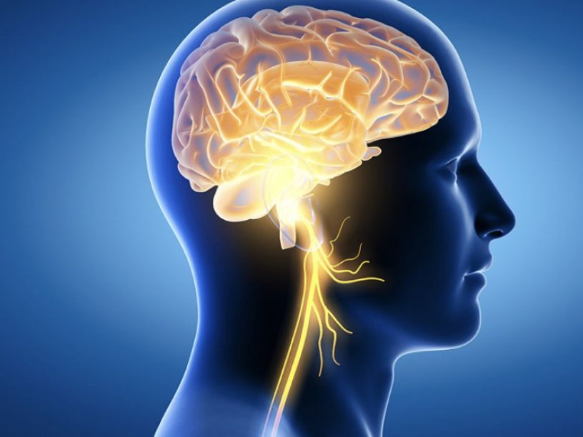 Online Peptides Therapy for Brain Health Neurogensis TBTotal.Health Peptides online